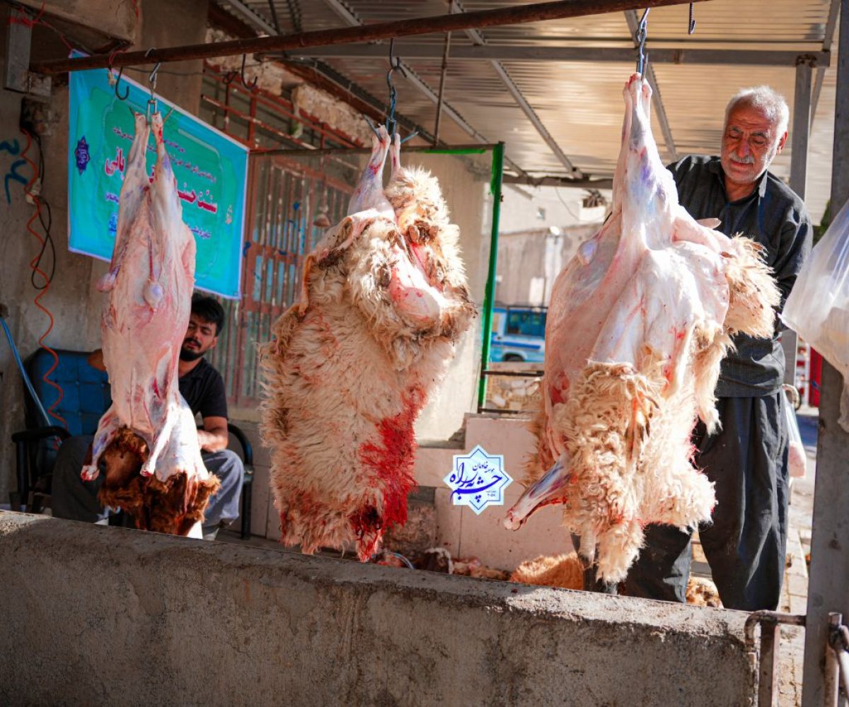 ما هر سال کلی ذبح گوسفند داریم