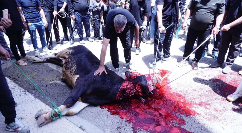 ذبح روز عاشورا ۱۴۰۴