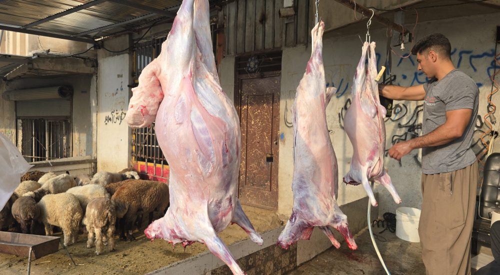 ذبح سه راس گوسفند _اربعین ۱۴۰۴