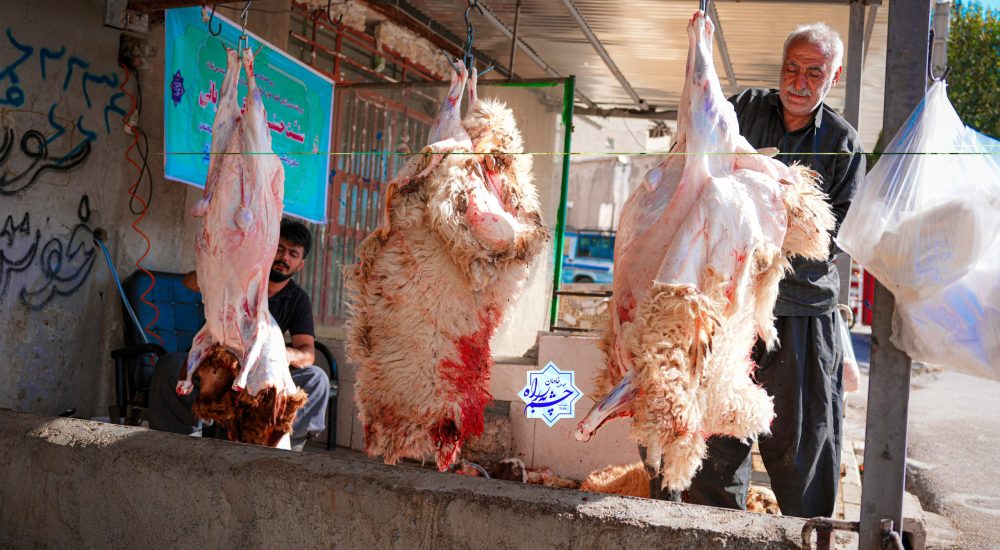 ذبح ۱۱ راس گوسفند _مهر ۱۴۰۴ (1)