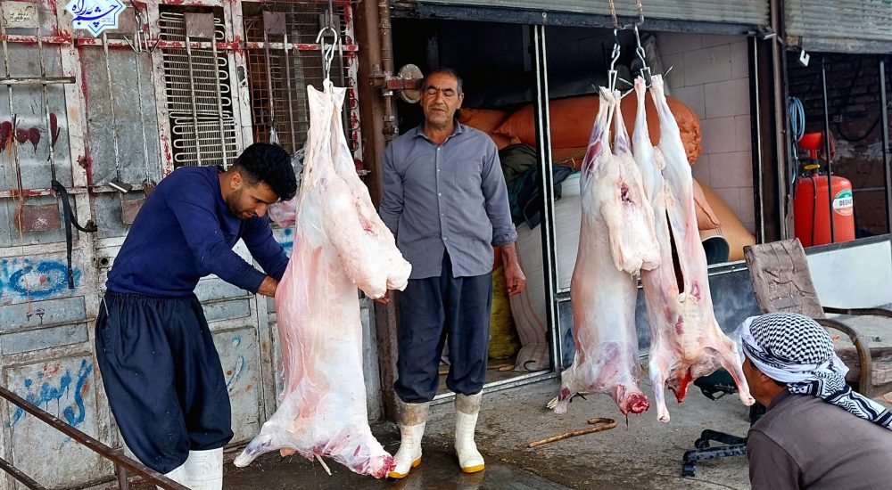 ۲۰۲۳۱۱۱۷_۱۱۱۰۱۷